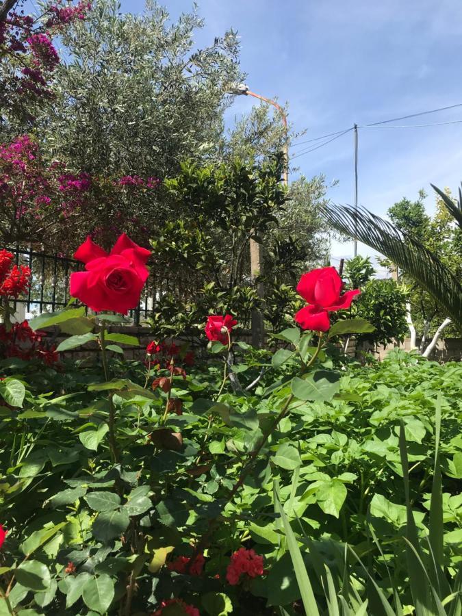 Vita Apartment - Spacious Garden And Balcony 5 Min To Beach & Center Ksamil Esterno foto