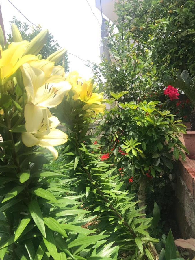 Vita Apartment - Spacious Garden And Balcony 5 Min To Beach & Center Ksamil Esterno foto